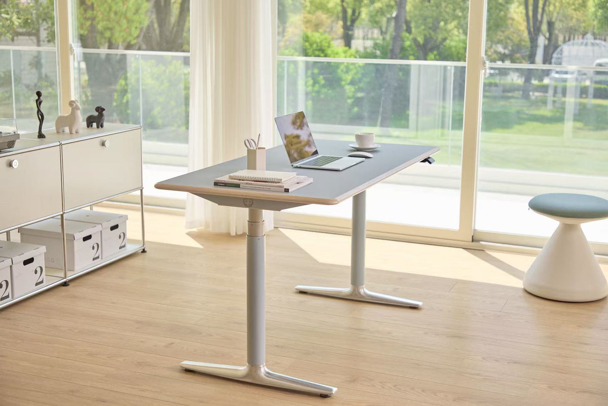 Ease Standing Desk with a laptop and books in a sunlit room